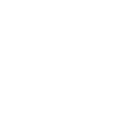 J3LLY CACTUS